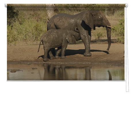 Elephant printed blind