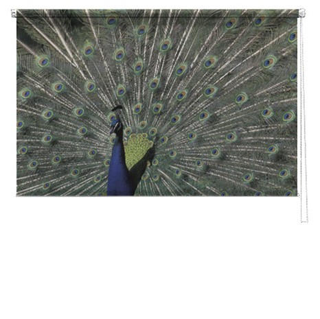 Peacock printed blind