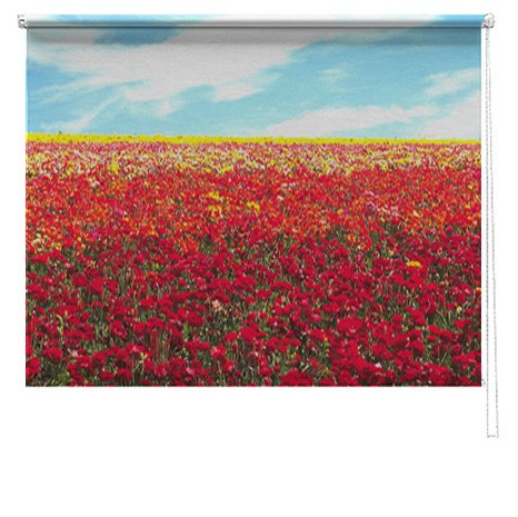 poppy field printed blind
