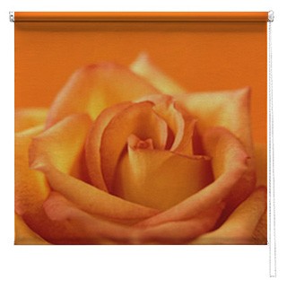 Orange Rose Flower printed blind