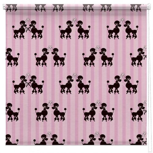 French poodles printed blind