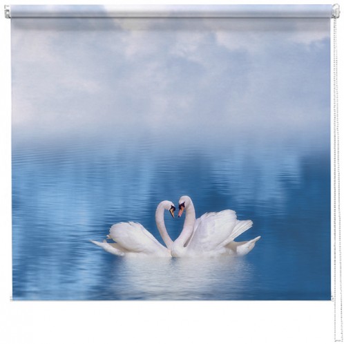 Swans in love printed blind