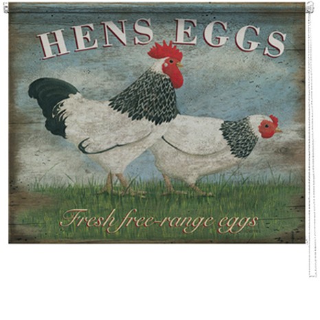 Hens eggs printed blind martin wiscombe