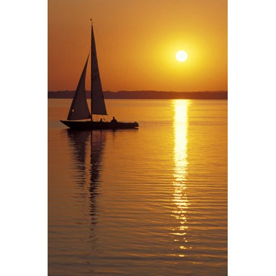 Sailing sunset canvas art