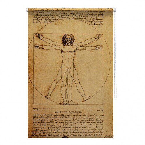 Studio del Corpo Umano Leonardo da Vinci