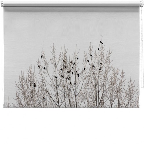 Birds on branches printed blind