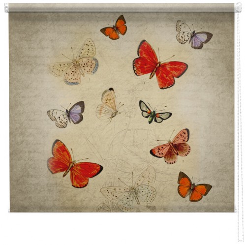 Butterflies printed blind