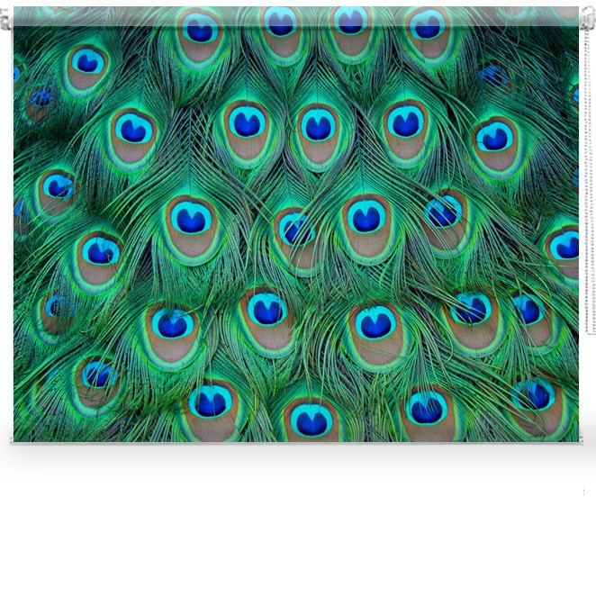 Peacock Feathers Pattern Close Up Printed Photo Picture Roller Blind Blackout 