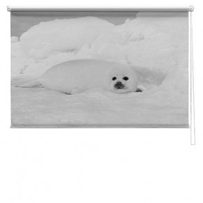 polar bear printed blind