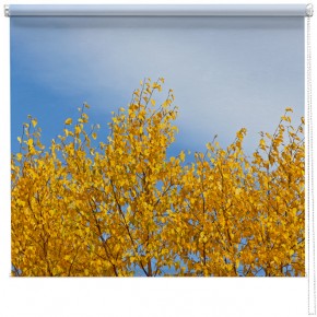 Autumn Gold Tree printed blind