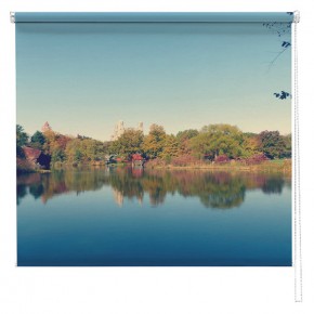 Central Park New York Lake view printed blind