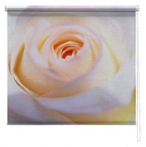 Rose Flower printed blind