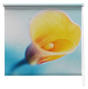 Lilly flower printed blind