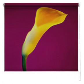 Yellow Lilly Flower printed blind