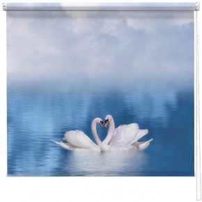 Swans in love printed blind