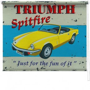 Triumph Spitfire printed blind martin wiscombe