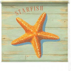 Starfish printed blind martin wiscombe