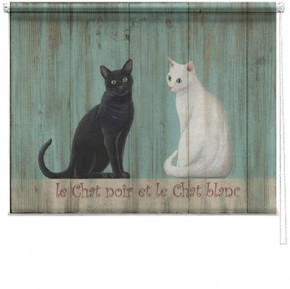 Le chat printed blind martin wiscombe
