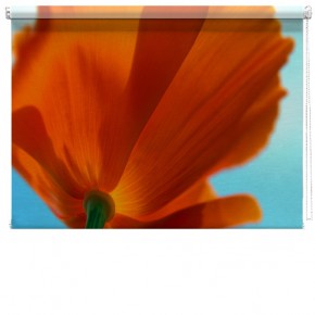 Poppy picture printed blind