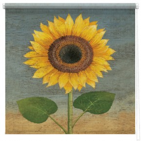 Sunflower printed blind martin wiscombe