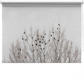Birds on branches printed blind