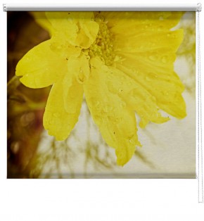 Yellow flower printed blind