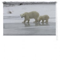 Polar bear printed blind
