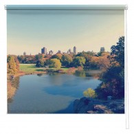 Central Park New York autumn view printed blind