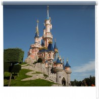 Disney castle printed blinds
