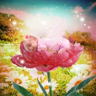flower baby photo fairytale art