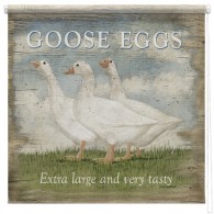 Goose Eggs printed blind Martin Wiscombe