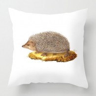 Vintage Hedgehog cushion