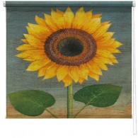 Sunflower printed blind martin wiscombe