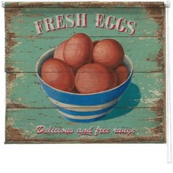 Fresh Eggs printed blind martin wiscombe