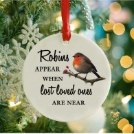 Robins appear Christmas decoration