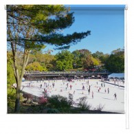 Skating in Central Park New York printed blind