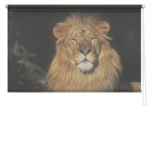 Lion 2 printed blind