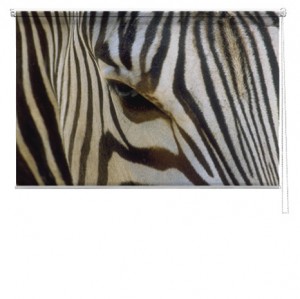 Zebra printed blind