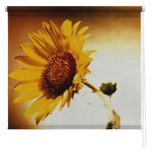 Sunflower printed blind
