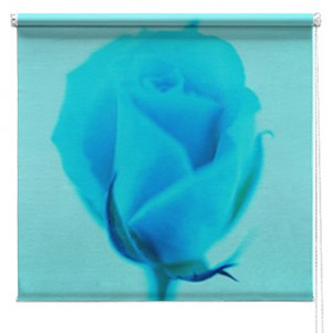 Rose flower printed blind