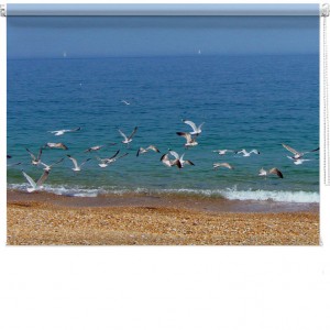seagull beach printed bind