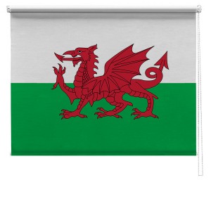 Welsh flag printed blind