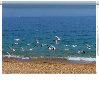 seagull beach printed bind
