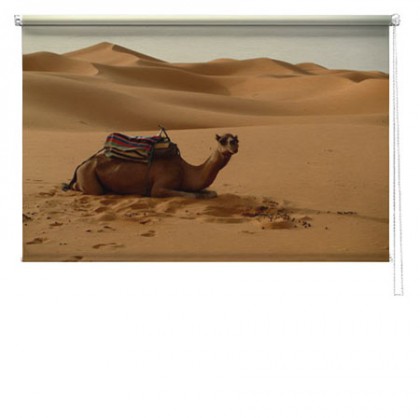 Camel printed blind